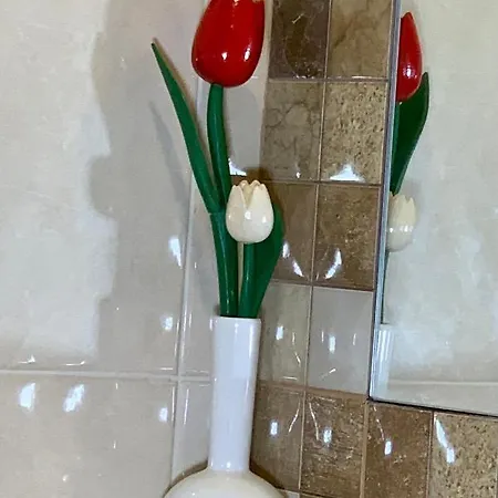 Luxury Art Apartamento Split